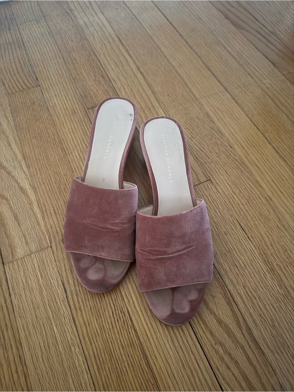 Loeffler Randall Tilly Cherry Blossom Velvet Slide Mules